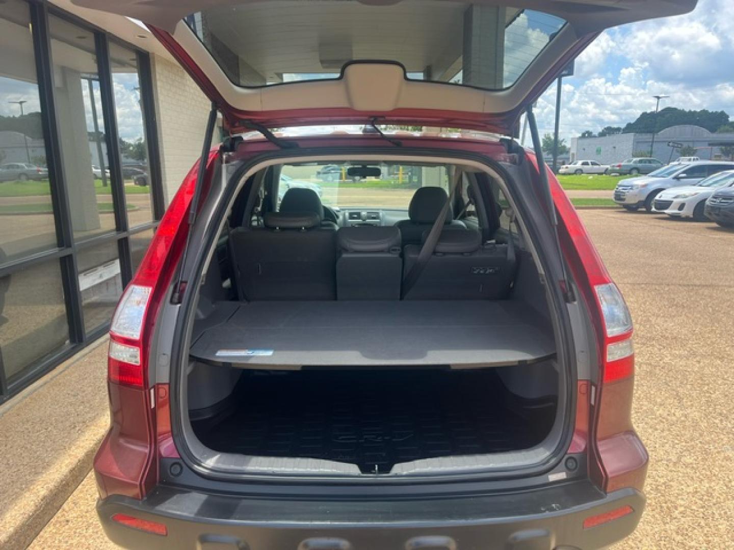 2009 RED HONDA CR-V EX-L EX-L (5J6RE38739L) with an 2.4L L4 DOHC 16V engine, 5-Speed Automatic transmission, located at 922 W. Beacon St., Philadelphia, MS, 39350, (601) 650-3675, 32.770447, -89.127151 - Title: 2009 Honda CR-V EX-L Year: 2009 Make: Honda Model: CR-V Engine: 2.4L L4 DOHC 16V Body: SPORT UTILITY 4-DR Transmission: 5-Speed Automatic Overdrive Drive Type: FWD Mpg City: 20 Mpg: 27 Trim: EX-L 2WD - Photo#8